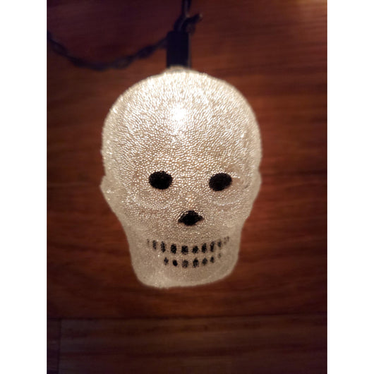 10 Frosted Skull Halloween String Lights Spooky Indoor Party Decor Light Set
