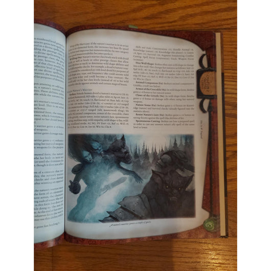 Dungeons & Dragons Complete Warrior Hardcover D&D Combat Supplement Guide Book