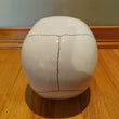 Porcelain Halloween Skull White Skeleton Head Gothic Tabletop Decor Decoration