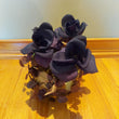VTG Gemmy Animated Skull Dancing Black Roses Music Halloween Decor Tested Works