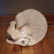 VTG Plastic Popcorn Light Up Skull Halloween Lamp Decoration Tested & Works