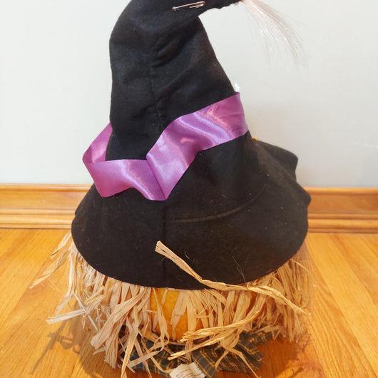 VTG Fiber Optic Color Changing Jack O Lantern Witch Scarecrow No Cord Untested