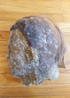 Michael Myers Halloween Ends Latex Mask (Trick Or Treat Studios) - Brand New