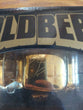 Racing Champions  1:24 Scale - Goldberg 24K Gold Nitro Streetrod (WCW),Fast Ship