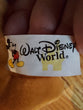 Walt Disney World - Winnie The Pooh, Rabbit, Piglet, & Eeyore 8