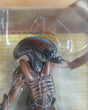 Alien Resurrection: Warror Alien Action Figure - Movie Edition (Kenner) NEW
