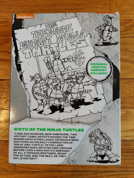 Teenage Mutant Ninja Turtles 40th Original Sketch Leonardo 4