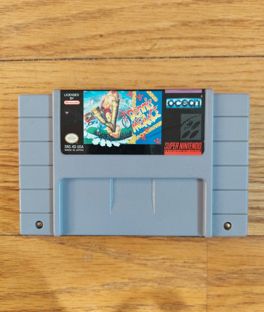 Dennis The Menace - SNES Game Action & Adventure Cartoon, Works, Fast Shipping!