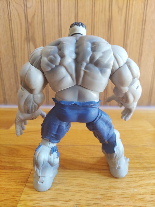Marvel Legends: Fin Fang Foom Series (2008) - Savage Gray Hulk 7